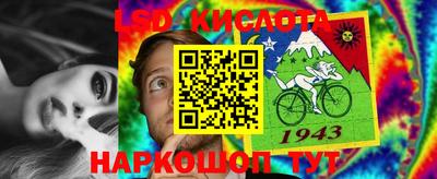 спайс Гай