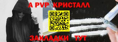 спайс Гай