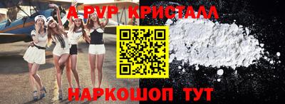 спайс Гай