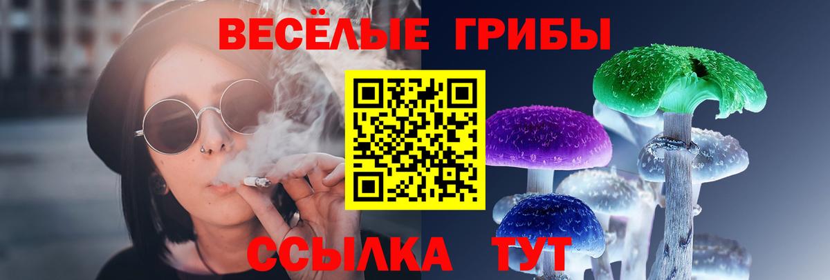 Псилоцибиновые грибы Psilocybine cubensis Наро-Фоминск